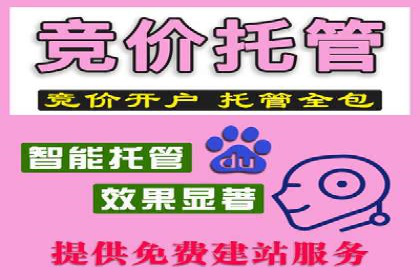 专业SEM托管助力企业快速成长案例分析